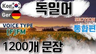 독일어 / Type [F] F M [통합편] 원어민 발음. 짧고 쉬운 1,200(5 hr) 문장 연속 듣기.  / 생활 회화. 식당. 교통. 쇼핑. 호텔. 공항. 병원.