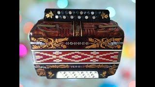 Паша гармонист - Игра на новой гармошке Hohner