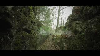 FONTAINEBLEAU - Marche Nordique - Aventure