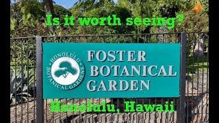 Foster Botanical Garden, Honolulu Hawaii. Worth a visit? Let me show you why.