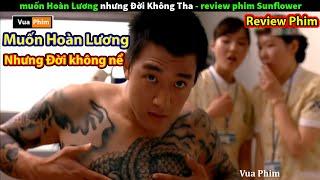 Muốn Hoàn Lương nhưng Đời Không Nể - review phim Hoa Hướng Dương