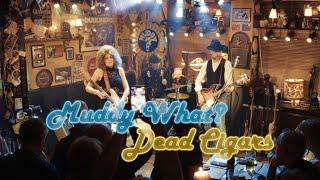 Dead Cigars - Muddy What?