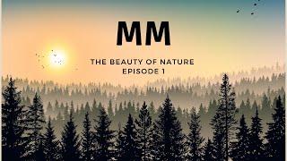 MOTIVATIONAL MONDAY - THE BEAUTY OF NATURE