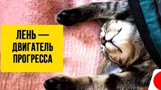 15 Лентяев, Которые Нашли Гениальные Решения Бытовых Задач