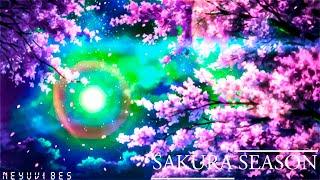 SAKURA SEASON - Neyuvibes