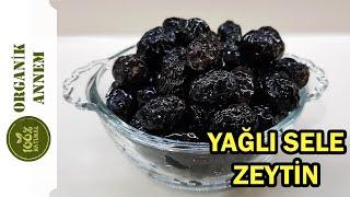 YAĞLI SİYAH SELE ZEYTİN TARİFİ / YEMELERE DOYAMAYACAKSINIZ / KATKISIZ / %100 ORGANİK