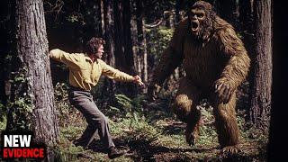 8 Terrifying Bigfoot Encounters That Left Campers Shaken