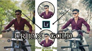 Moddy gold tone  Editing in Lightroom mobile|BK Editz09| #youtube #editing #lightroom