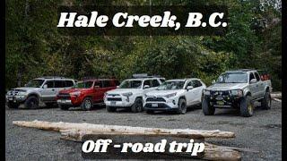 Hale Creek | Easy Way | Exploring West Harrison 2023