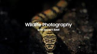 Galaxy S22: Wildlife Photography with Expert RAW | Samsung