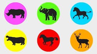 Herbivorous Animals: Horse, Elephant, Rhinoceros, Deer, Zebra, Hippopotamus.