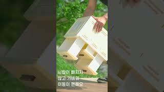 40ft｜미란다 클래식 바퀴 3단 서랍장