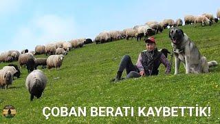 SON YOLCULUK || BERAT'I KAYBETTİK