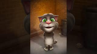 Tom gan video