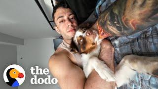 Guy Gets A Dog After A Breakup And... | The Dodo