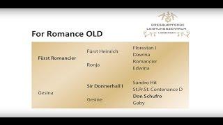For Romance Hengstschau Wickrath 2017