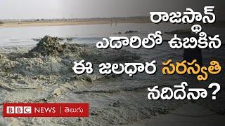 Rajasthan ఎడారిలో ఉబికిన 'జలధార' సరస్వతి నదిదేనా, శాస్త్రవేత్తలు ఏం చెబుతున్నారు? | BBC Telugu