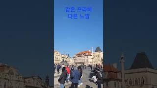 비오는 날과 맑은 날
