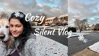 A Silent Cozy Vlog - Dog Mom Life, Breakfast recipe , groceries, ASMR Celebrating Snow Day