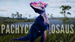 0 Hour Pachy Takes on Official Servers | The isle pachycephalosaurs