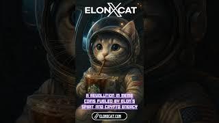 ElonXCat Uniting Crypto and Cosmos with Memes 🪐 || ELONXMUSK & SPACEX MEME COIN ||