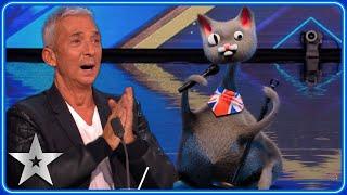 SINGING CAT Noodle has us fee-line good! | Auditions | BGT 2023