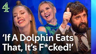 NEW: Joe Wilkinson Hires An Assassin & Katherine Ryan’s BIG Regret | Cats Does Countdown | Channel 4
