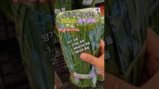 부추가 좋은것은 전국민이 다 알고 있어요 6가지 효능