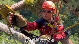 Taiwan Tree Project