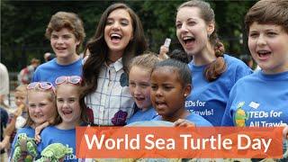 Kids World Sea Turtle Day