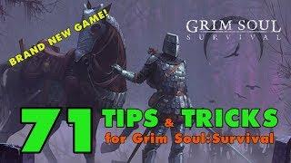 Grim Soul Survival: 71 Tips and Tricks for Grim Soul Dark Fantasy Survival