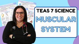 2024 ATI TEAS 7 Science Anatomy and Physiology Muscular System with Nurse Cheung