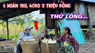 " THỬ LÒNG " Mua MĂNG RỪNG Của người RAGLAI tính nhầm số TIỀN LỚN và CÁI KẾT../369