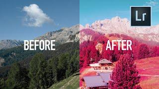 Emulate the look of Aerochrome Film with These Lightroom Presets