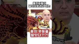 오대산에 사는 용이 참 속상하대요  (feat. 가슴앓이) #단풍명소 #월정사 #자현스님 #금강경 #염불 #기도 #명상 #요가 #전나무숲길