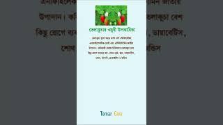 তেলাকুচার ওষুধী গুণ #shorts #youtubeshorts #short #health #shortsvideo #shortsfeed
