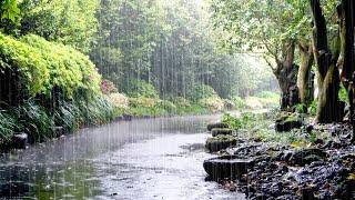 10 Hours of Comfortable Rain Sounds for Deep Sleep, Stress Relief, White Noise