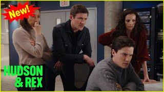 Hudson & Rex 2024 | Roll the Bones | Hudson & Rex New Episodes 2024 Full HD