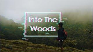 Into The Woods | Rajmachi Fort Trek