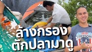 ภารกิจ ล้างกรองบ่อปลาวันอาทิตย์ | บ่อมหัศจรรย์ EP.18