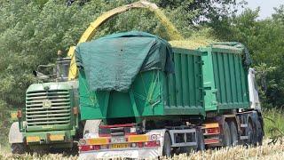  MAIS SILAGE | JD 7450i | FENDT 820 - 313 VARIO | JD 6900 - 6140R | IVECO EUROTRAKKER | GIANSANTE