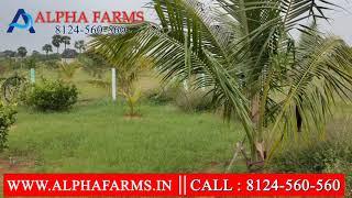 farmland for sale in tamilnadu