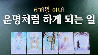 [타로] 운명처럼 하게 되는 일