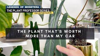 P6. I Touch the “Rarest” Plant in the World, a Philodendron Spiritus Sancti | Plant Professor Series