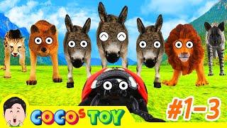 [25min] Super donkey's adventure 1~3ㅣreal version, animals stories for kidsㅣCoCosToy