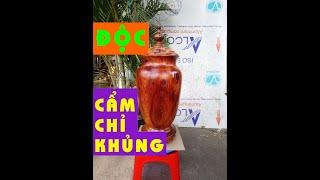 [ĐỘC LẠ] - Bình Phú Quý Hút Lộc  Đồ Gỗ Mỹ Nghệ  Tượng Gỗ Phong Thủy  Thế Giới Đồ Gỗ Phong Thủy