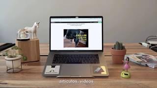 Descubre la oferta de Welcome to the Jungle