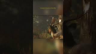 I Hunt Animals in The Digital World, But Hell No To Real Life!