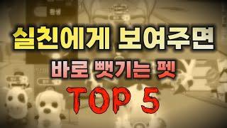 [입양하세요] 친구에게 자랑하기 좋은 펫 TOP5