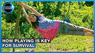 WHY PLAYING BENEFITS YOUR CHILD | The Power of Play | Full DOCUMENTARY